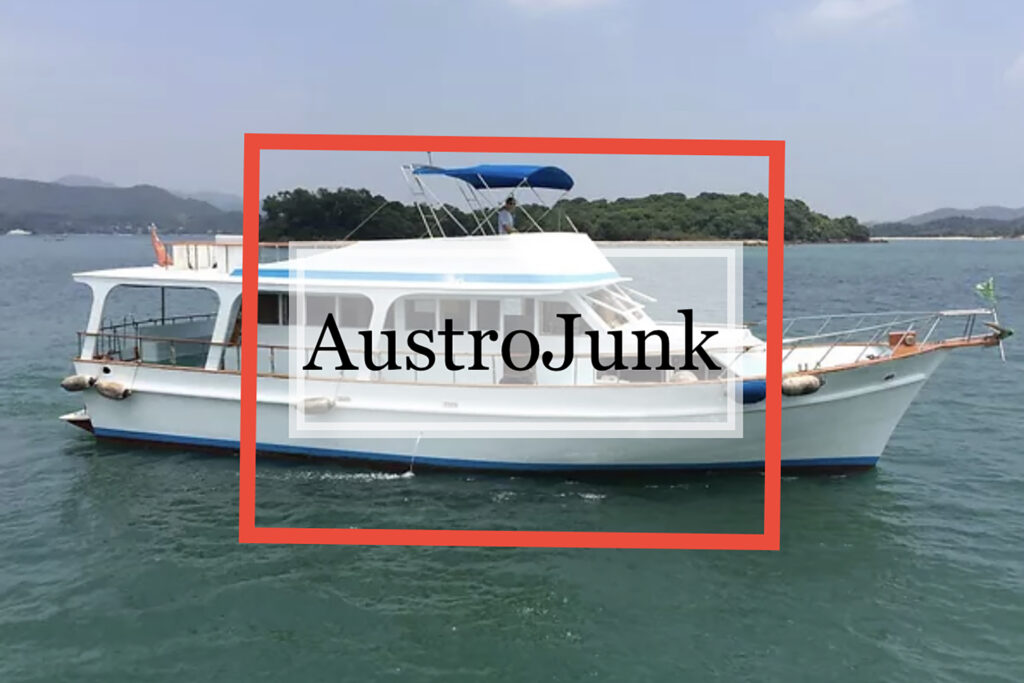 AustroJunk Cover Image 2023